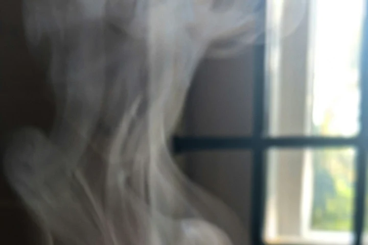 Chefii îl numesc „diamantul din bol”. Cel mai scump și cel mai gustos orez de pe planetă. De ce costă o avere