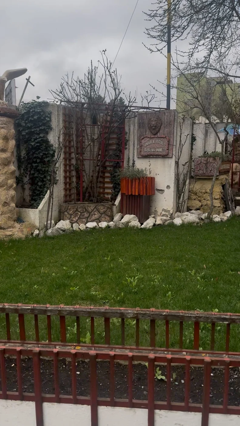 Imagine galerie articol