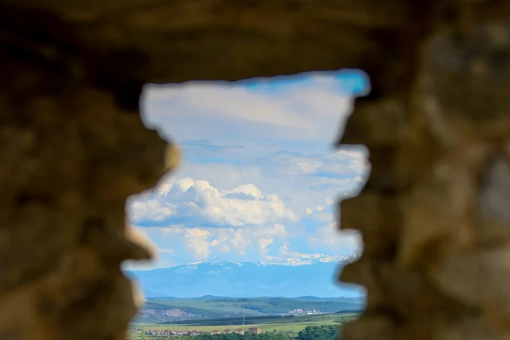 Cel mai periculos animal din România, fotografiat în Deva