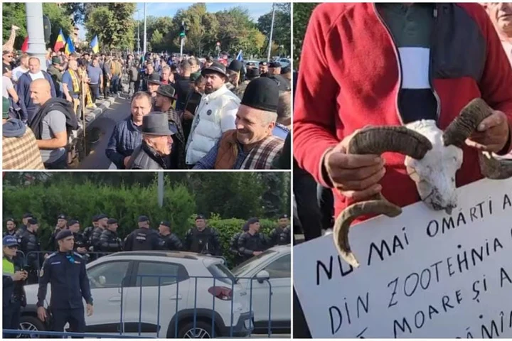 „Ne-a ajuns cuțitul la os”. Oierii s-au ridicat împotriva Guvernului și amenință că nu mai pleacă din București. Au venit cu provizii pentru o săptămână. Cine i-a chemat în stradă și ce a declanșat revolta