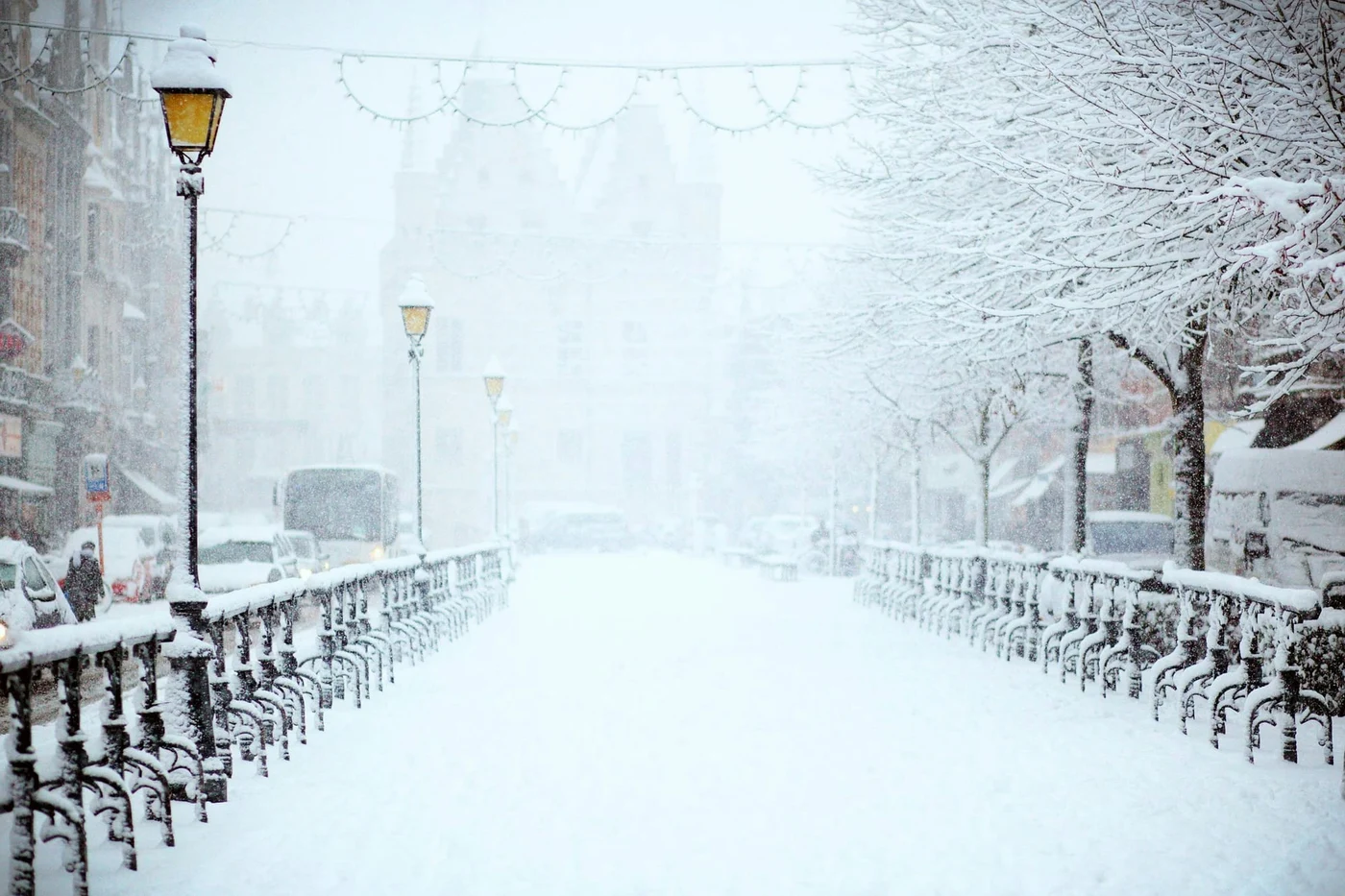 Photo by Filip Bunkens / Unsplash