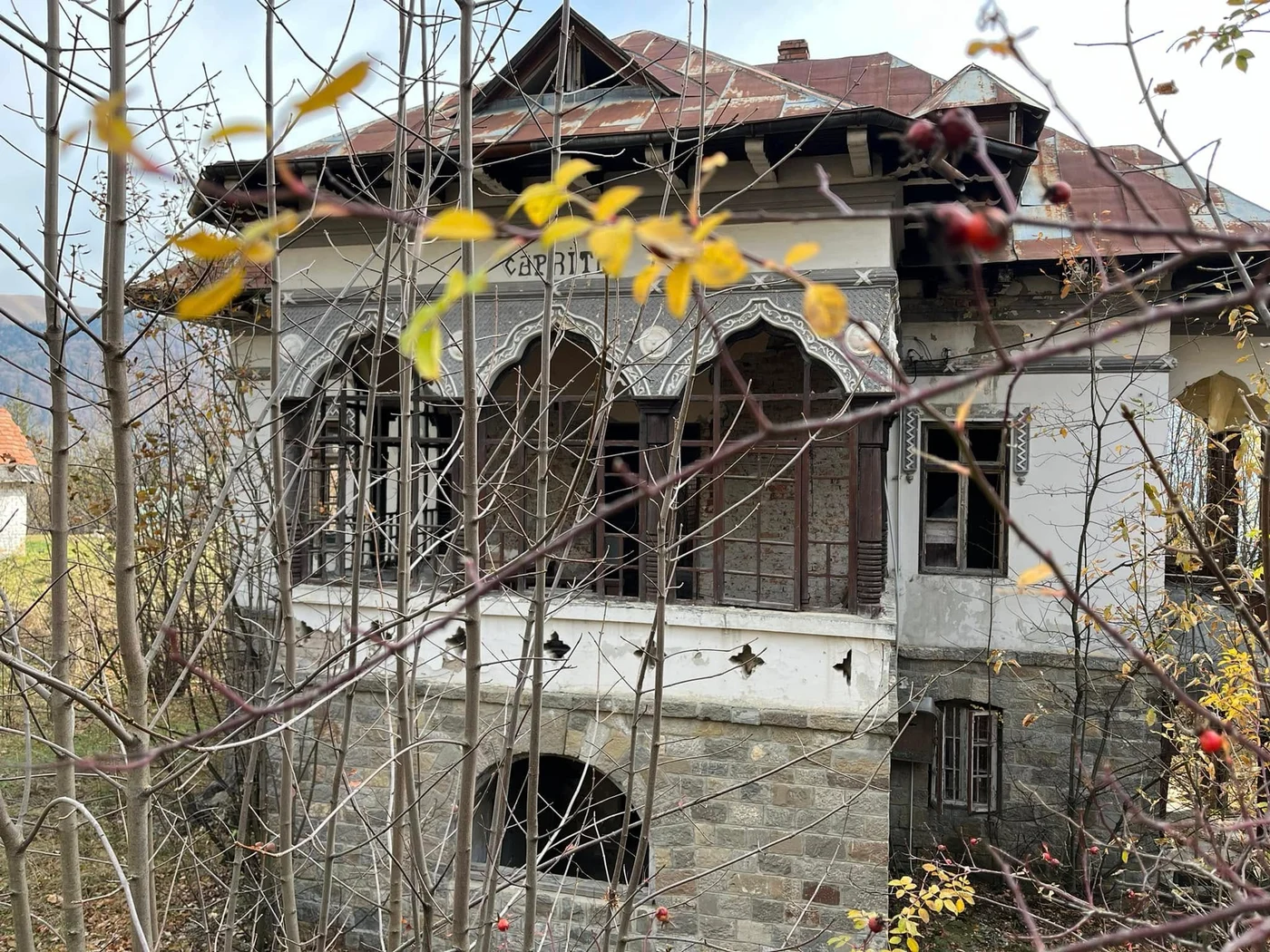 Imagine galerie articol