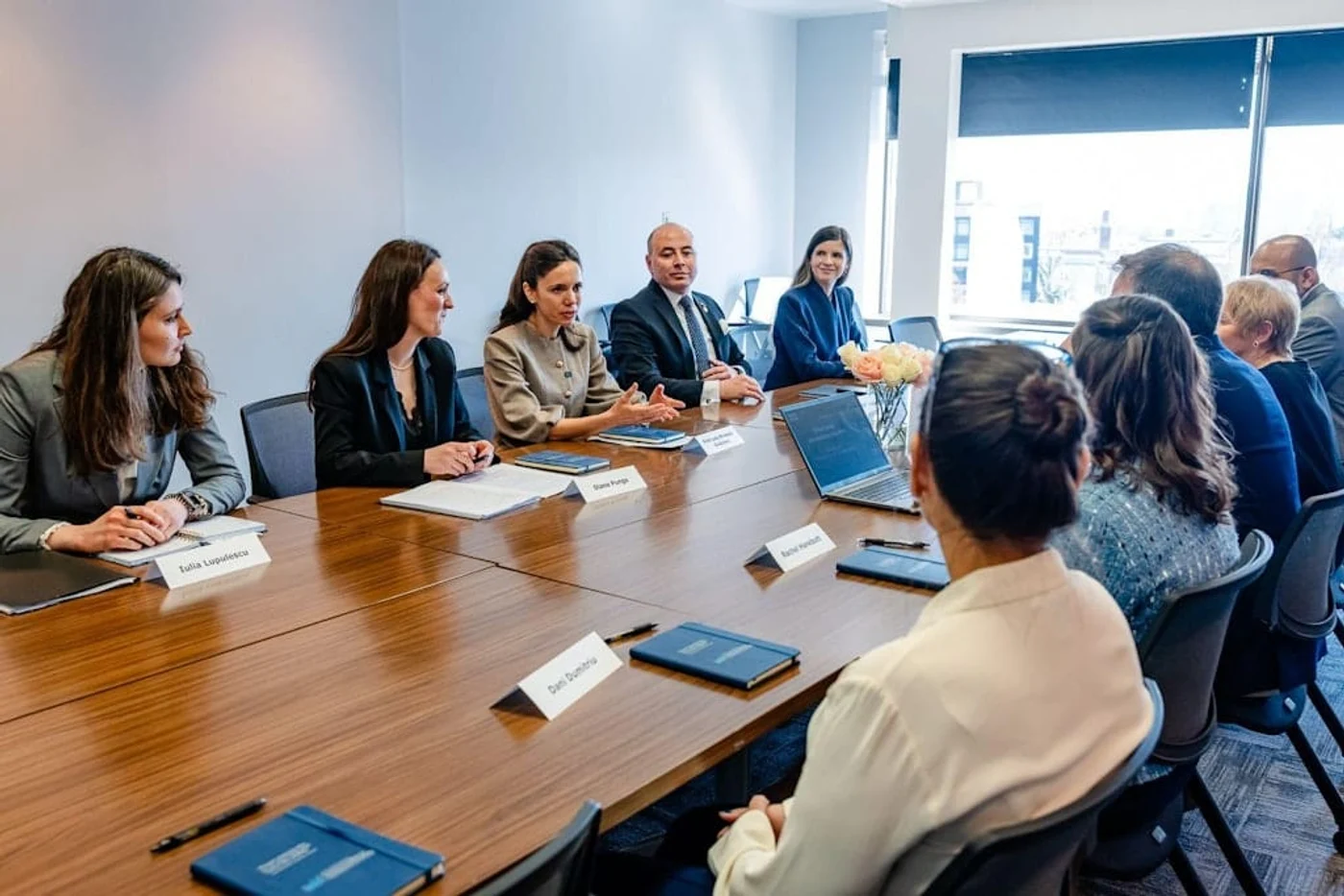 Imagine galerie articol