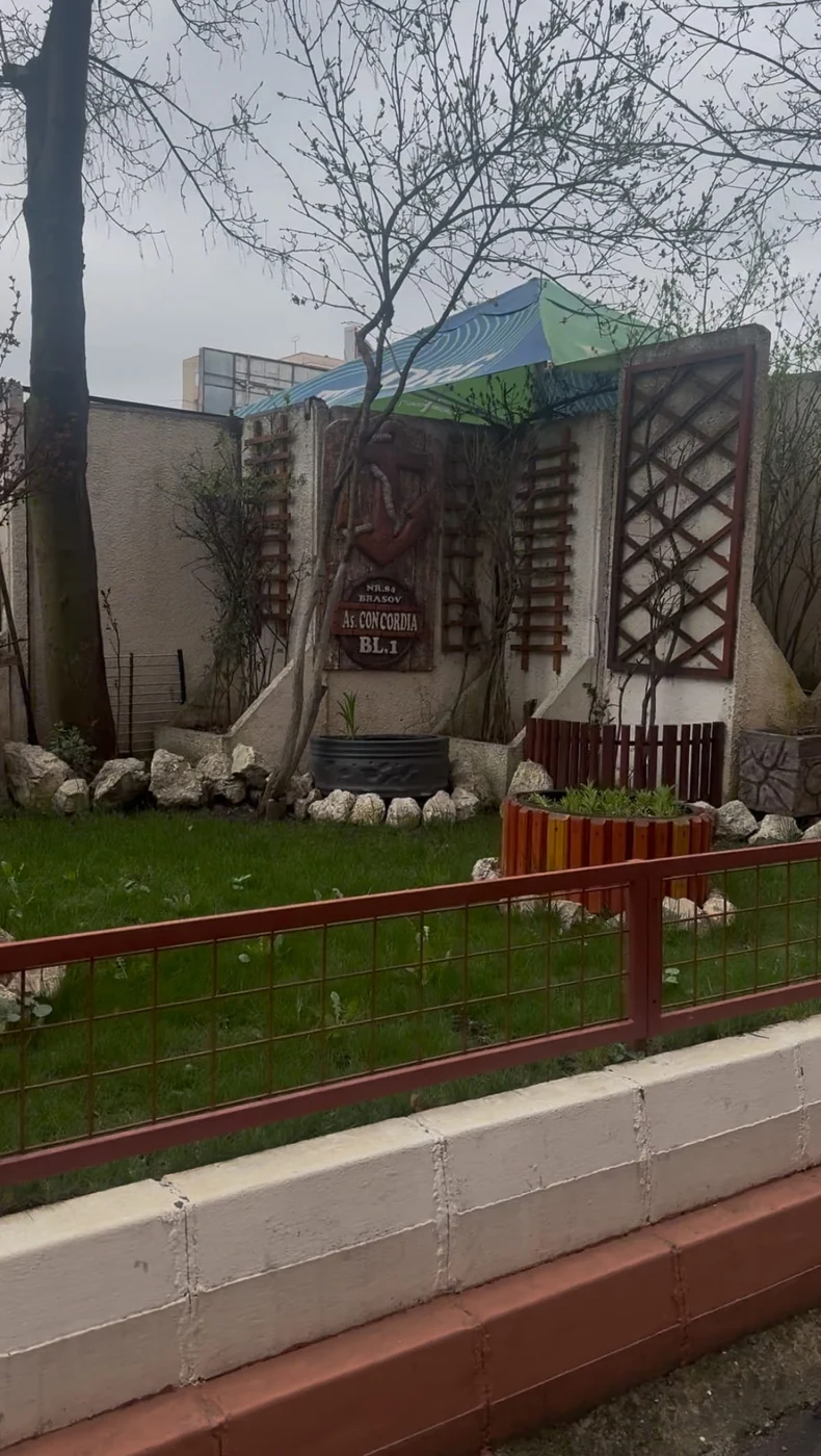 Imagine galerie articol