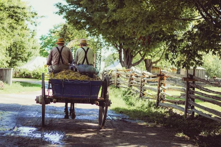 Povestea tinerilor dintr-un sat din Vrancea care au devenit milionari în euro. Cum au reușit, de fapt, să devină atât de bogați?: „Am băut apa aceleiași cișmele, nu aveam apă curentă atunci în casă”