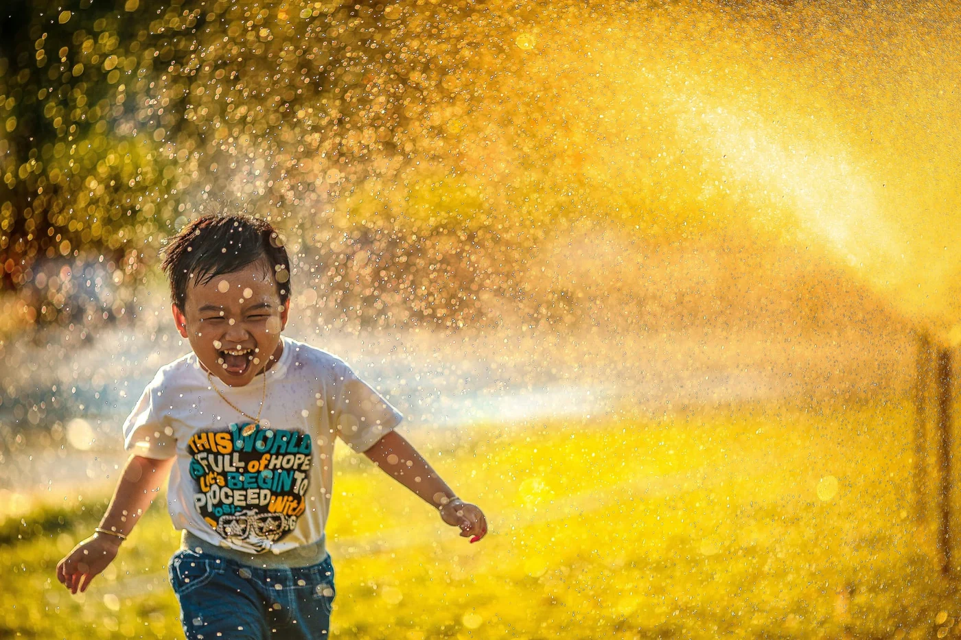 Photo by MI PHAM / Unsplash