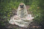 Iar se schimbă vremea. Urmează o săptămână mai rece decât în mod normal