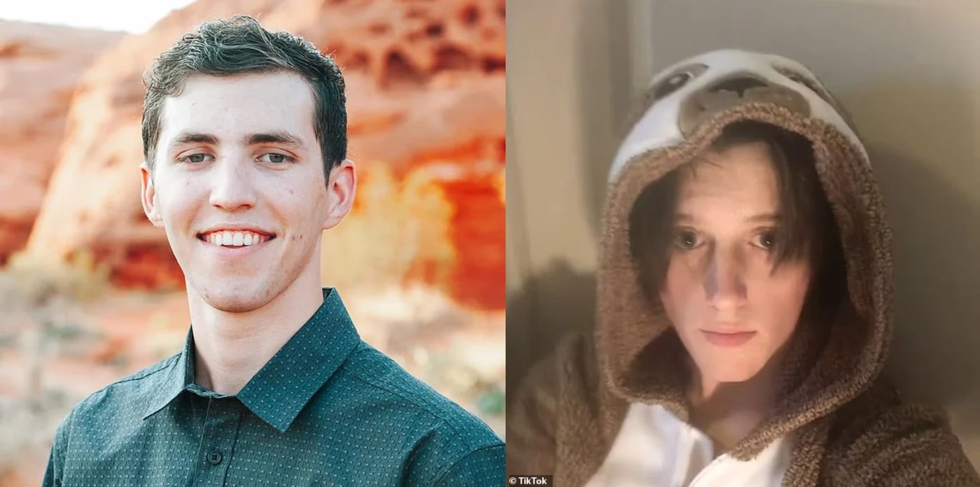Imagine articol