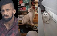 Situație halucinantă în Râșnov. Un bărbat condamnat pentru tentativă de viol a ucis cu cruzime un animal, sub privirile înspăimântate ale copiilor. În lipsa Poliției, micuții l-au închis pe individ în ghenă: „Sunt marcați pe viață pentru ceea ce au văzut”