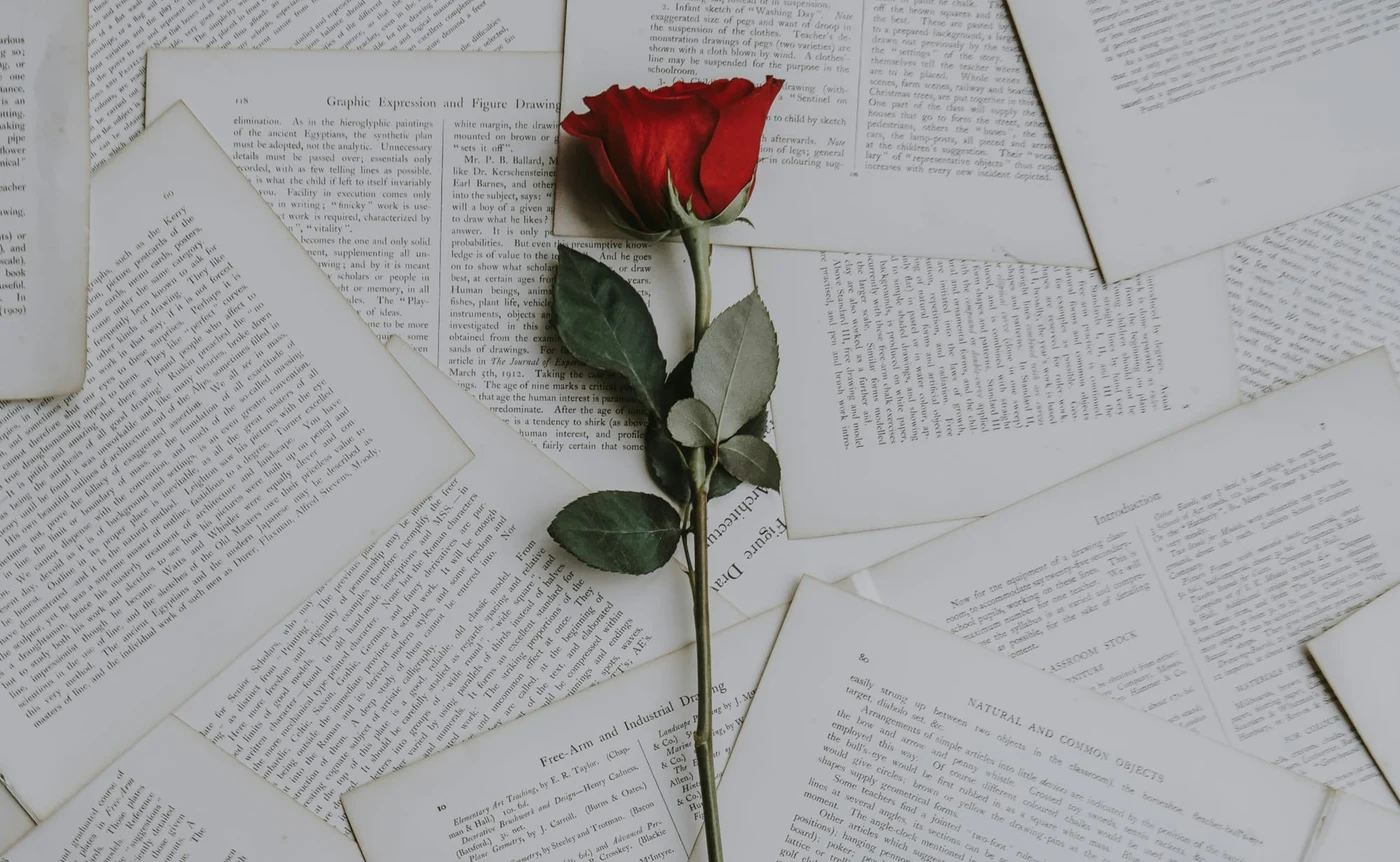 Sunt câteva zodii care renunță ușor la relațiile de iubire. Photo by Annie Spratt / Unsplash