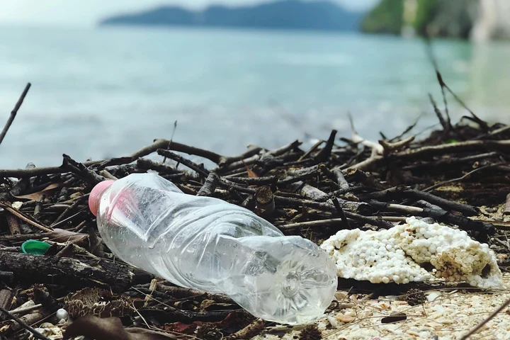Dezinformarea ne costă viitorul: cum suntem manipulați în fața crizei climatice