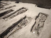 Imagini greu de privit cu groapa comună din Insula Mare a Brăilei. Cadavrele erau adunate și transportate noaptea cu căruțe din lagărul de la Salcia. Peste 1.500 au murit în chinuri groaznice: „Aici s-a încercat ștergerea urmelor crimelor”