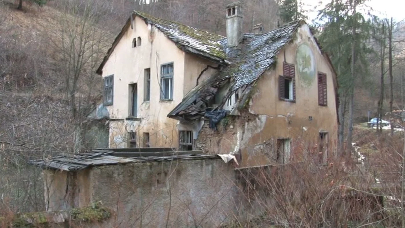 Imagine galerie articol