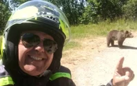 Să nu faceți asta niciodată: Gestul turistului italian cu doar câteva minute înainte să fie ucis de ursoaică pe Transfăgărășan. De ce l-a sfâșiat, de fapt, ursoaica