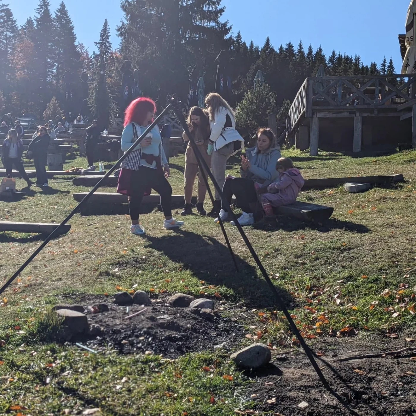 Imagine galerie articol