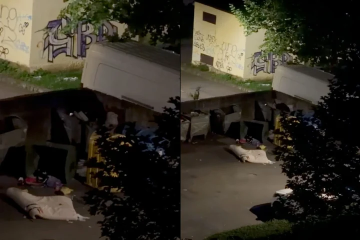 Ce face ursul noaptea pe străzile din Brașov | VIDEO